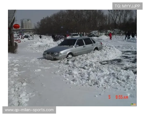 “天灾挑战：暴雨雪雹中的赛场勇士”，雪暴灾害