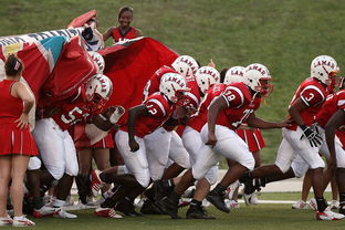 AC Milan官方APP下载-世界青少年庆典运动会精彩纷呈，青春无悔，2021年世界青年运动会在哪里举办