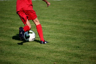 ac米兰官网-中国篮球职业联赛俱乐部青训体系建设，全国篮球俱乐部青年联赛