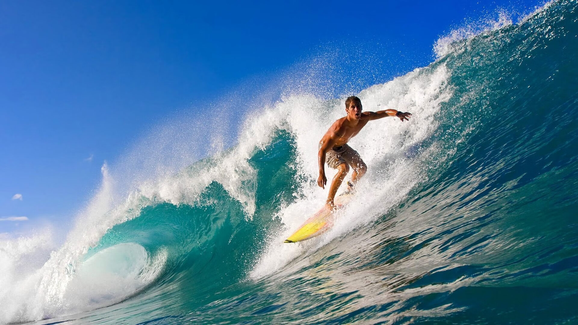 青年联赛培养未来巨星